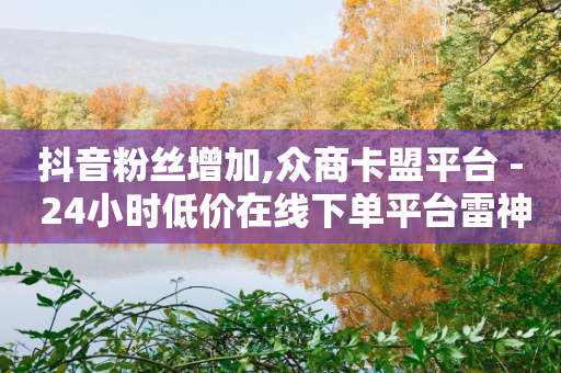 抖音粉丝增加,众商卡盟平台 - 24小时低价在线下单平台雷神 - ks一元1000个赞秒到软件-第1张图片-靖非智能科技传媒