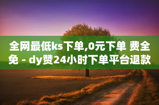 全网最低ks下单,0元下单 费全免 - dy赞24小时下单平台退款 - 24小时秒单业务平台免费-第1张图片-靖非智能科技传媒