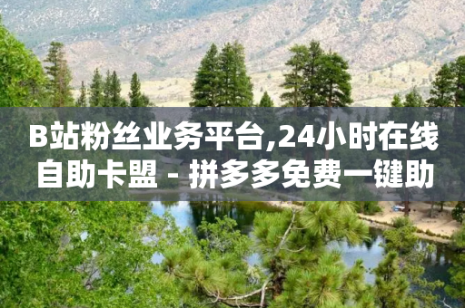 B站粉丝业务平台,24小时在线自助卡盟 - 拼多多免费一键助力神器 - 拼多多700兑换卡-第1张图片-靖非智能科技传媒