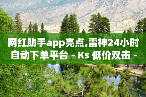 网红助手app亮点,雷神24小时自动下单平台 - Ks 低价双击 - 24小时自助商城软件