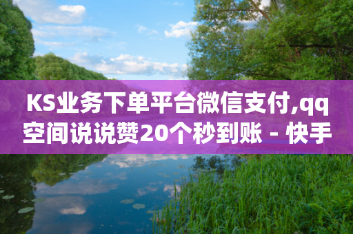 KS业务下单平台微信支付,qq空间说说赞20个秒到账 - 快手充值链接 - 快手点赞网址在哪里找-第1张图片-靖非智能科技传媒