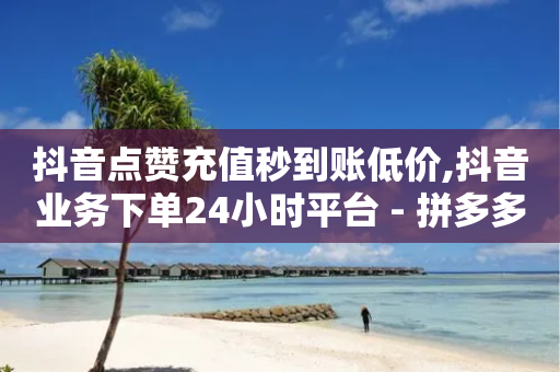 抖音点赞充值秒到账低价,抖音业务下单24小时平台 - 拼多多砍价黑科技软件 - 助力打榜平台-第1张图片-靖非智能科技传媒