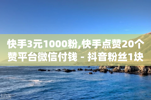 快手3元1000粉,快手点赞20个赞平台微信付钱 - 抖音粉丝1块钱10个 - dy业务低价自助下单转发-第1张图片-靖非智能科技传媒