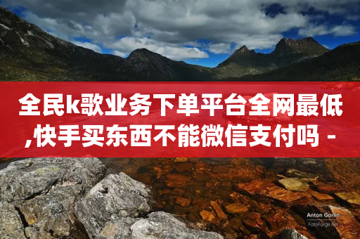 全民k歌业务下单平台全网最低,快手买东西不能微信支付吗 - QQ刷QQ空间访客网站 - qq刷访客人数免费-第1张图片-靖非智能科技传媒