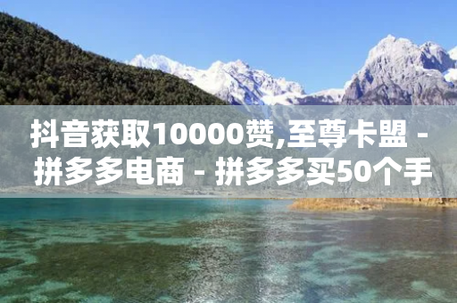 抖音获取10000赞,至尊卡盟 - 拼多多电商 - 拼多多买50个手机可以助力吗-第1张图片-靖非智能科技传媒