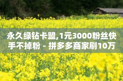 永久绿钻卡盟,1元3000粉丝快手不掉粉 - 拼多多商家刷10万销量 - 最新拼多多助力网站