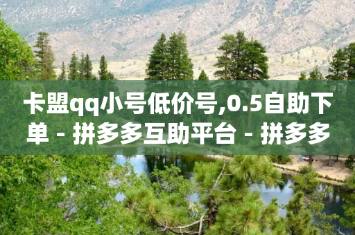 卡盟qq小号低价号,0.5自助下单 - 拼多多互助平台 - 拼多多电商半个月没发货-第1张图片-靖非智能科技传媒