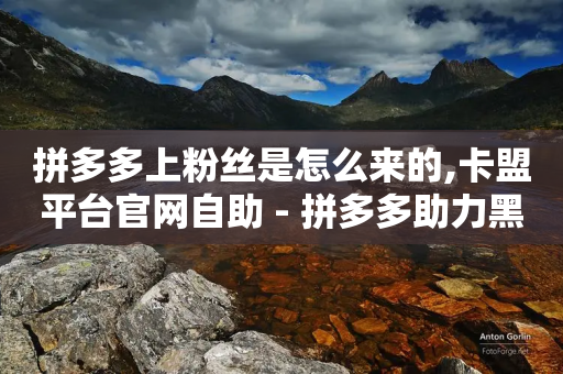 拼多多上粉丝是怎么来的,卡盟平台官网自助 - 拼多多助力黑科技 - 拼多多兑换卡碎片之后是什么-第1张图片-靖非智能科技传媒