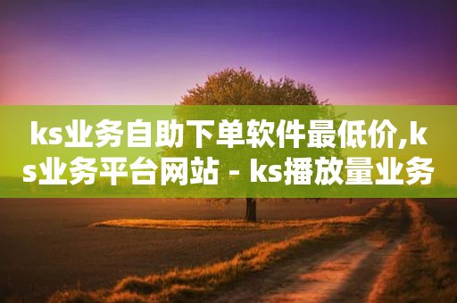 ks业务自助下单软件最低价,ks业务平台网站 - ks播放量业务免费 - 网红助手24小时下单平台-第1张图片-靖非智能科技传媒