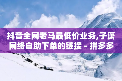 抖音全网老马最低价业务,子潇网络自助下单的链接 - 拼多多大转盘助力软件 - 拼多多助力工具怎么使用-第1张图片-靖非智能科技传媒