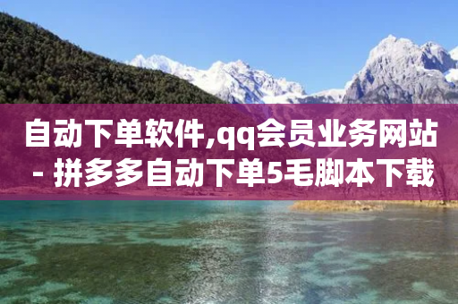 自动下单软件,qq会员业务网站 - 拼多多自动下单5毛脚本下载 - 拼多多现金大转盘活动-第1张图片-靖非智能科技传媒