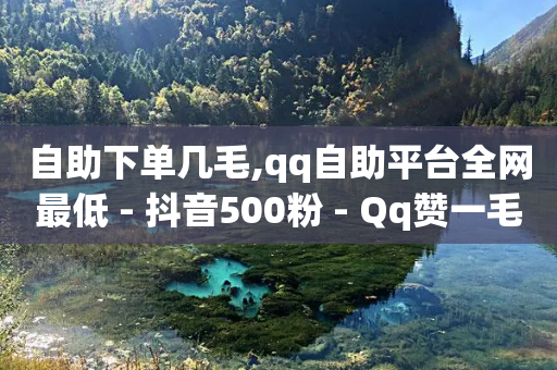 自助下单几毛,qq自助平台全网最低 - 抖音500粉 - Qq赞一毛钱1万