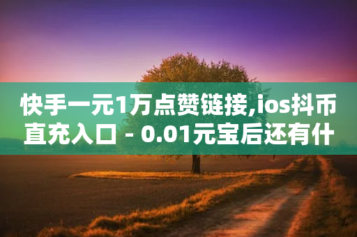 快手一元1万点赞链接,ios抖币直充入口 - 0.01元宝后还有什么套路 - 平台怎么认定为骗运费险赔付-第1张图片-靖非智能科技传媒