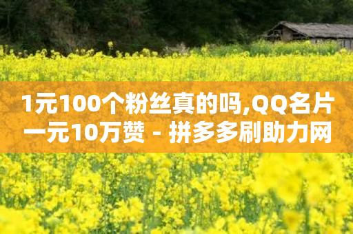 1元100个粉丝真的吗,QQ名片一元10万赞 - 拼多多刷助力网站哪个可靠 - 云小店下单平台-第1张图片-靖非智能科技传媒