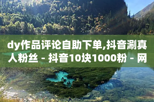 dy作品评论自助下单,抖音涮真人粉丝 - 抖音10块1000粉 - 网红助手商城-第1张图片-靖非智能科技传媒