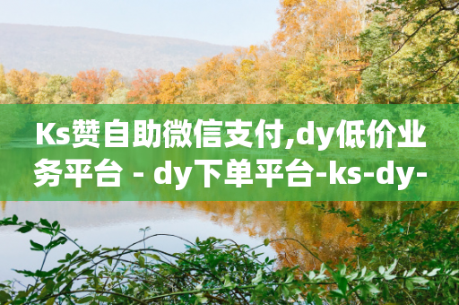 Ks赞自助微信支付,dy低价业务平台 - dy下单平台-ks-dy-稳定下单平台-超低价平台 - 快手买收藏平台10个-第1张图片-靖非智能科技传媒