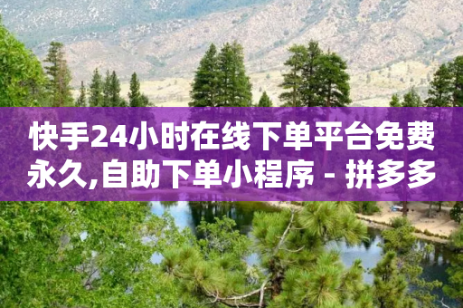 快手24小时在线下单平台免费永久,自助下单小程序 - 拼多多最后0.01碎片 - 微信拼多多砍价群