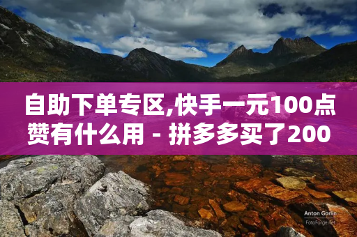 自助下单专区,快手一元100点赞有什么用 - 拼多多买了200刀全被吞了 - 拼多多助力宝石后面还有啥-第1张图片-靖非智能科技传媒