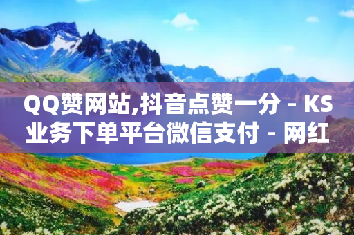 QQ赞网站,抖音点赞一分 - KS业务下单平台微信支付 - 网红商城在线下单软件-第1张图片-靖非智能科技传媒