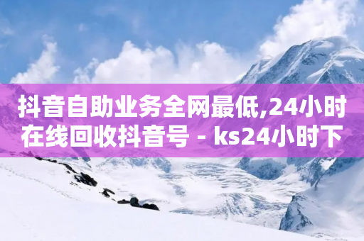 抖音自助业务全网最低,24小时在线回收抖音号 - ks24小时下单平台 - ks直播间人气协议网站