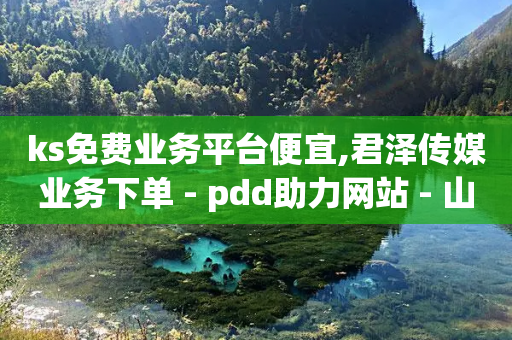 ks免费业务平台便宜,君泽传媒业务下单 - pdd助力网站 - 山东滨州拼多多公司地址-第1张图片-靖非智能科技传媒