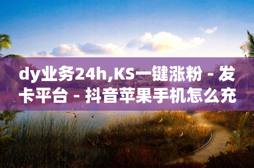 dy业务24h,KS一键涨粉 - 发卡平台 - 抖音苹果手机怎么充值-第1张图片-靖非智能科技传媒