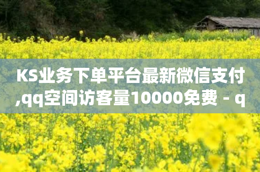 KS业务下单平台最新微信支付,qq空间访客量10000免费 - qq业务平台网站 - 网红助手24小时下单平台