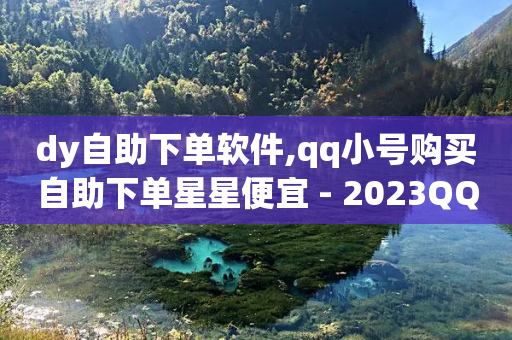 dy自助下单软件,qq小号购买自助下单星星便宜 - 2023QQ自助下单入口 - 抖音涨假粉丝是真的吗-第1张图片-靖非智能科技传媒