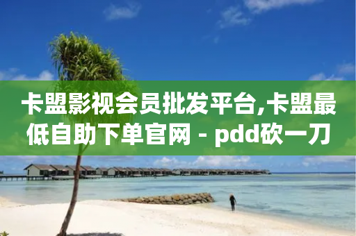 卡盟影视会员批发平台,卡盟最低自助下单官网 - pdd砍一刀助力助力平台官网 - 零钱互换平台app