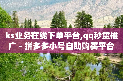 ks业务在线下单平台,qq秒赞推广 - 拼多多小号自助购买平台 - 自助平台业务下单真人