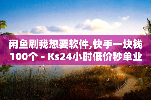 闲鱼刷我想要软件,快手一块钱100个 - Ks24小时低价秒单业务 - 说说点赞购买平台-第1张图片-靖非智能科技传媒