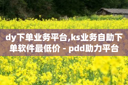 dy下单业务平台,ks业务自助下单软件最低价 - pdd助力平台 - 拼多多推金币助力是真的吗-第1张图片-靖非智能科技传媒