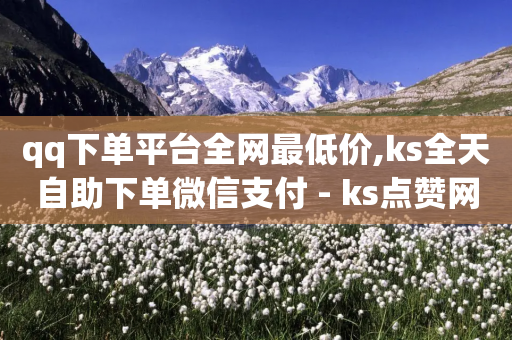 qq下单平台全网最低价,ks全天自助下单微信支付 - ks点赞网 - 快手充值链接