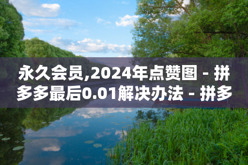 永久会员,2024年点赞图 - 拼多多最后0.01解决办法 - 拼多多商家退店流程步骤-第1张图片-靖非智能科技传媒