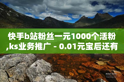 快手b站粉丝一元1000个活粉,ks业务推广 - 0.01元宝后还有什么套路 - 拼多多助力等级划分-第1张图片-靖非智能科技传媒