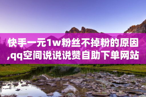 快手一元1w粉丝不掉粉的原因,qq空间说说说赞自助下单网站 - qq空间访客量在线网站 - qq空间说说访问量