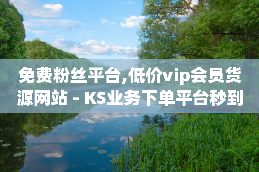 免费粉丝平台,低价vip会员货源网站 - KS业务下单平台秒到账 - bilibili业务网