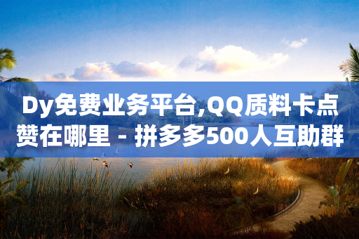 Dy免费业务平台,QQ质料卡点赞在哪里 - 拼多多500人互助群 - 拼多多养号脚本-第1张图片-靖非智能科技传媒