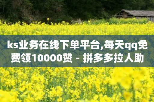 ks业务在线下单平台,每天qq免费领10000赞 - 拼多多拉人助力群 - 帮别人助力会有风险吗-第1张图片-靖非智能科技传媒