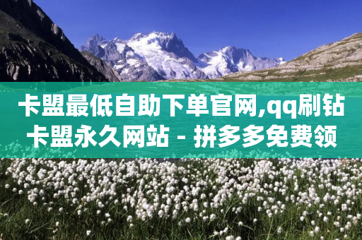 卡盟最低自助下单官网,qq刷钻卡盟永久网站 - 拼多多免费领5件助力 - 拼多多出现幸运锦鲤-第1张图片-靖非智能科技传媒