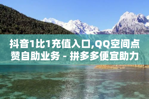 抖音1比1充值入口,QQ空间点赞自助业务 - 拼多多便宜助力链接 - 云小店拼多多助力-第1张图片-靖非智能科技传媒