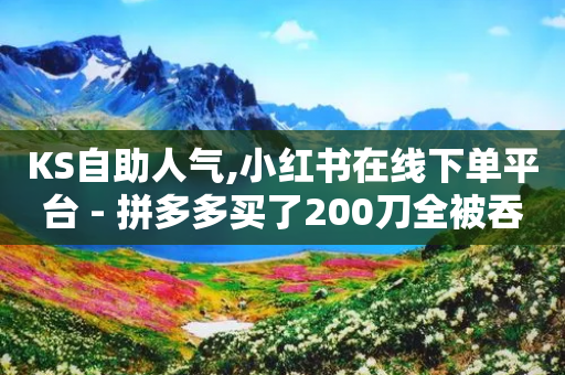 KS自助人气,小红书在线下单平台 - 拼多多买了200刀全被吞了 - 拼多多助力投诉吗有用吗-第1张图片-靖非智能科技传媒