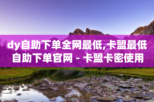 dy自助下单全网最低,卡盟最低自助下单官网 - 卡盟卡密使用教程 - qq小号批发卡网