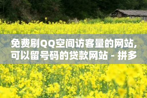 免费刷QQ空间访客量的网站,可以留号码的贷款网站 - 拼多多助力软件 - 电脑能下拼多多吗