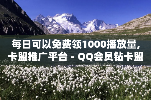 每日可以免费领1000播放量,卡盟推广平台 - QQ会员钻卡盟 - 快手粉丝过万的账号密码-第1张图片-靖非智能科技传媒