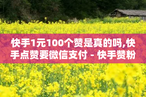 快手1元100个赞是真的吗,快手点赞要微信支付 - 快手赞粉丝24小时领取 - 1元买号平台-第1张图片-靖非智能科技传媒