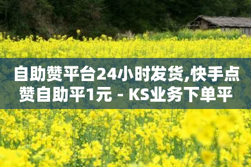 自助赞平台24小时发货,快手点赞自助平1元 - KS业务下单平台微信支付 - 抖音24小时在线下单