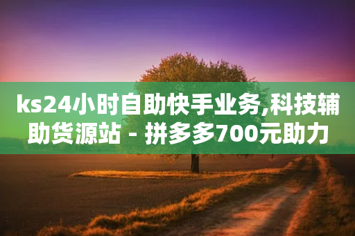 ks24小时自助快手业务,科技辅助货源站 - 拼多多700元助力需要多少人 - 拼多多商家电脑版入口