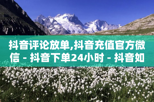 抖音评论放单,抖音充值官方微信 - 抖音下单24小时 - 抖音如何推广自己产品-第1张图片-靖非智能科技传媒