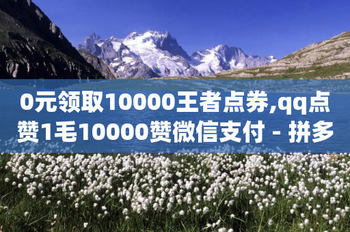 0元领取10000王者点券,qq点赞1毛10000赞微信支付 - 拼多多无限刀软件 - 砍一刀万爆是真的吗